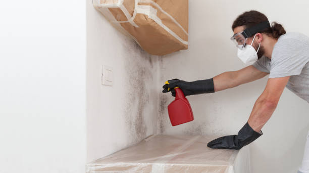 Attic Mold Remediation treatment on roof deck in Saint Leonard